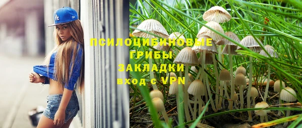 мяу мяу мука Вязьма