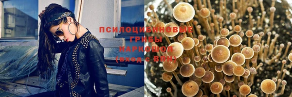 гидропоника Вяземский
