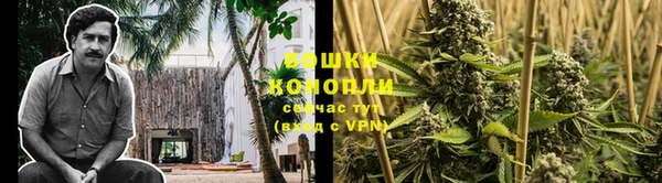 гидропоника Вяземский